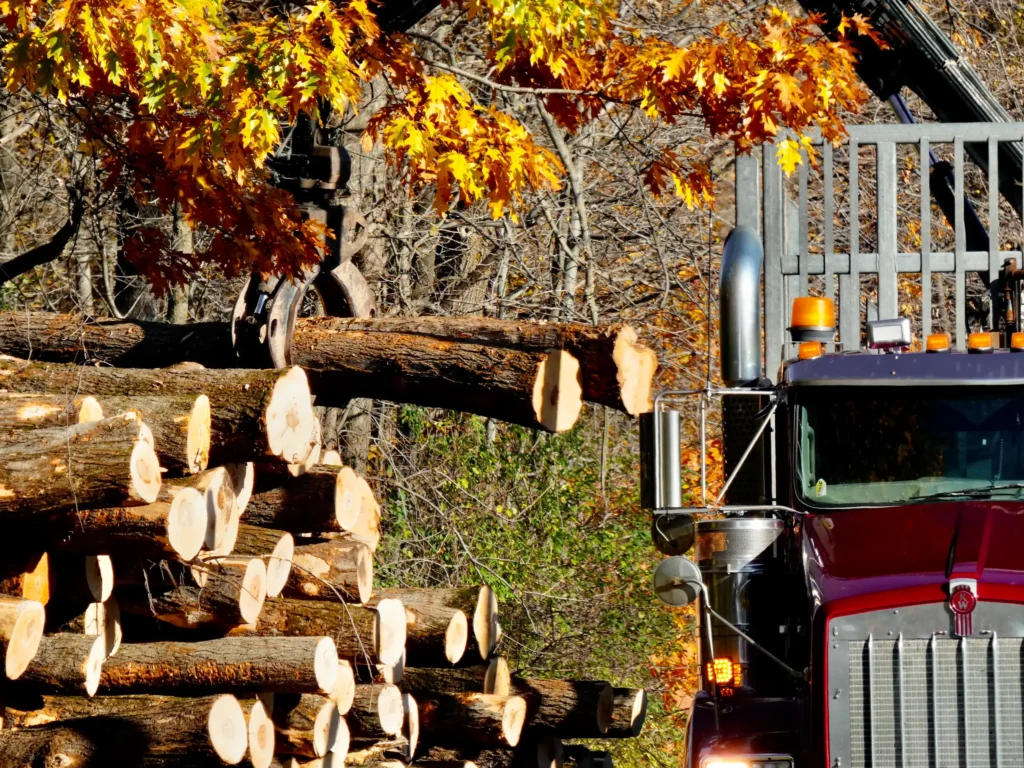 Logging truck loading cut tree trunks with a mechanical claw, surrounded by colorful autumn foliage. The scene conveys a busy, industrious mood.
